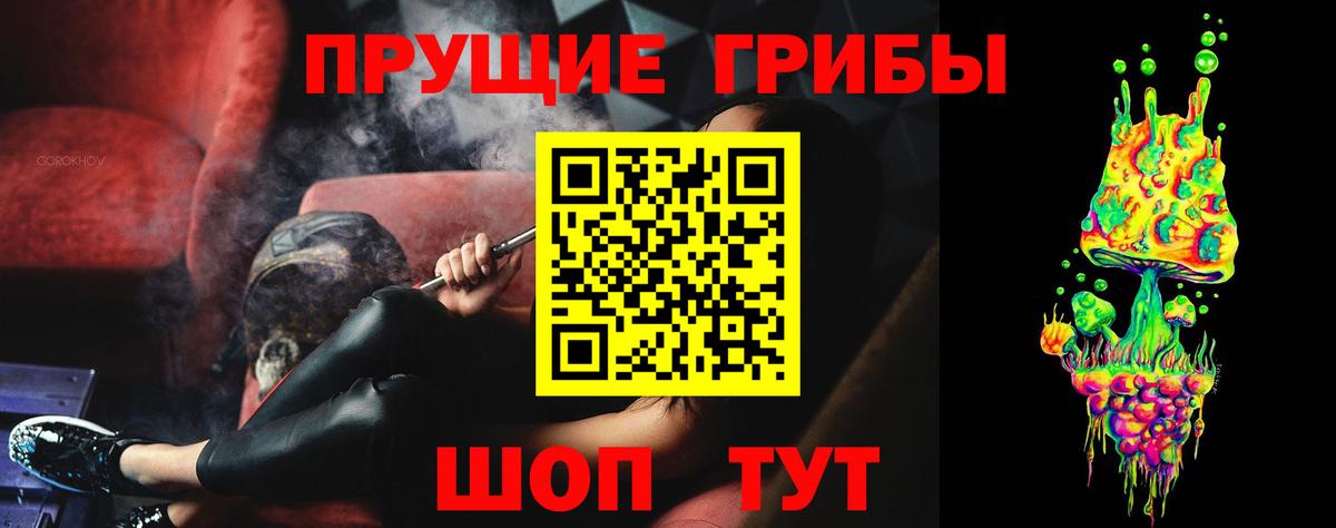 купить наркоту  Псилоцибиновые грибы мицелий  Псилоцибиновые грибы MAGIC MUSHROOMS  Вход с VPN  Котовск 